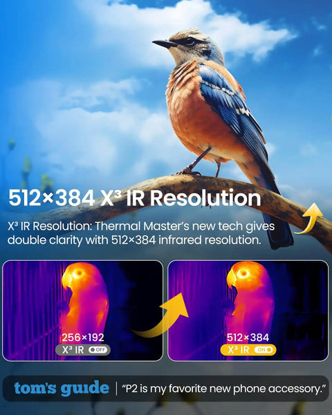 Comparison of thermal images showing 256x192 and 512x384 resolutions of a bird sitting on a branch, highlighting infrared technology.