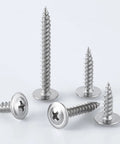Heavy Duty Two Hundred Piece Set Of Number Eight By One Inch Quarter Phillips Truss Head Wood Screws Made From Forty Ten Stainless Steel showing five various screws.