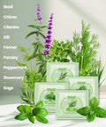 All In One 9 Herb Indoor Window Garden Kit For Moms And Home Cooks With Seeds Pots Soil Pruning Shears And Markers Non GMO Heirloom Herbs For Easy Growing No Fuss Daily Use A Thoughtful Gift For Birthdays Housewarmings And Mother's Day with herb seed packets and plant illustrations.