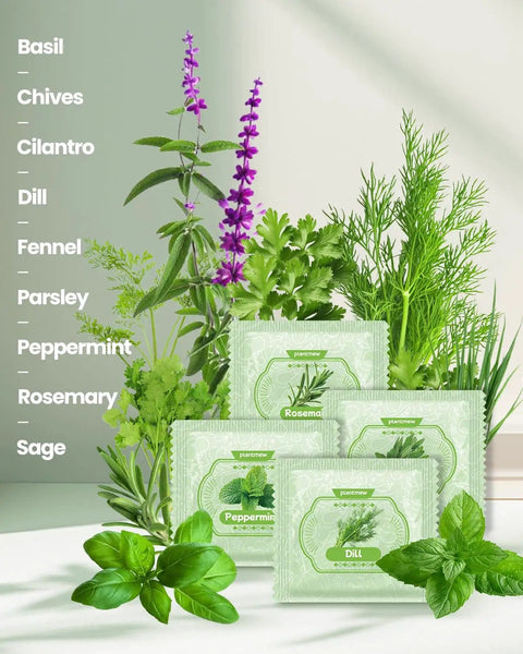 All In One 9 Herb Indoor Window Garden Kit For Moms And Home Cooks With Seeds Pots Soil Pruning Shears And Markers Non GMO Heirloom Herbs For Easy Growing No Fuss Daily Use A Thoughtful Gift For Birthdays Housewarmings And Mother's Day with herb seed packets and plant illustrations.