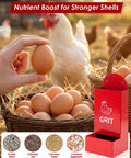 Automatic Gravity Fed Chicken Oyster Shell Feeder 2 Pack Large Capacity Grit Dispenser with eggs and grit materials in a farm setting.