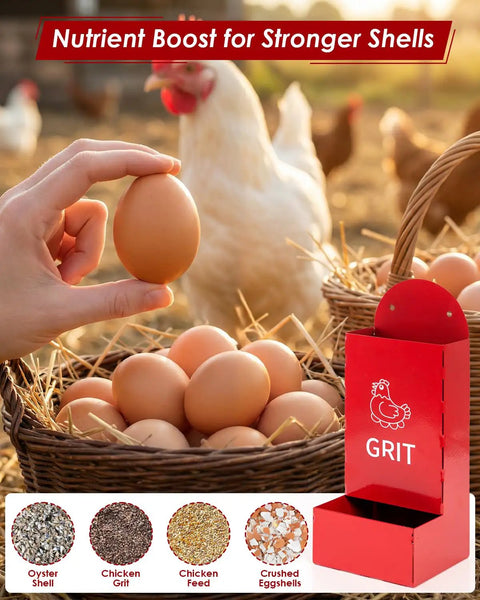 Automatic Gravity Fed Chicken Oyster Shell Feeder 2 Pack Large Capacity Grit Dispenser with eggs and grit materials in a farm setting.