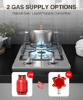 Two Burner Portable Gas Stove On The Go With Stainless Steel Build For RVs Apartments And Outdoor Kitchens 12 Inch Cooktop