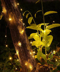 4 Pack 16.4 Feet 50 LED Fairy Lights Battery Operated With Remote Timer Waterproof Copper Wire Twinkle String Lights on a tree outdoors