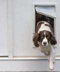 Jumbo Black Wall Mount Dog Door Built Hecka Tough With A Double Flap Seal That Blocks Cold Air While Big Pups Chill Indoors Keeping Your Home Damn Cozy And Totally Draft Free: Dog exiting through the door.