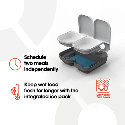 No Fuss Dual Compartment Automatic Pet Feeder Programmable Meal Timer For Cats And Small Dogs with dual bins and ice pack.