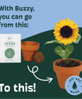 Sunflower Seed Starter Kit Bulk 20 Pack With Mini Terracotta Pots For Weddings DIY Crafts Classroom Projects Party Favors And Easy Home Gardening For All Ages showing seeds, pots, and blossom.