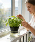 Person tending plants in Heavy-Duty Weather-Resistant Hydroponic Baskets For Ponds And Gardens on a window ledge