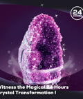 Purple crystal geode from Geodes Growing Science Kit For Kids Ages 6 8 12 With Crystal Growth In 24 Hours STEM Educational Toys For Geology Lovers