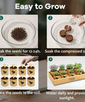 Indoor Herb Garden Starter Kit All In One Garden Set With 8 Biodegradable Pots Soil Discs And 8 Non GMO Seeds guide