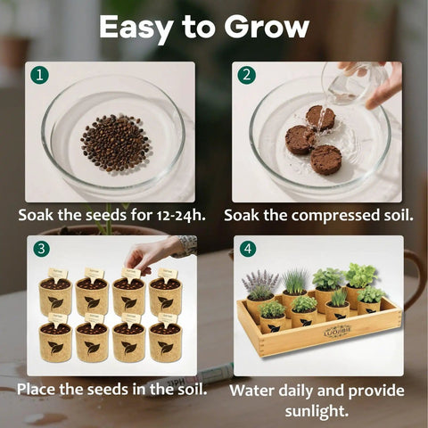Indoor Herb Garden Starter Kit All In One Garden Set With 8 Biodegradable Pots Soil Discs And 8 Non GMO Seeds guide