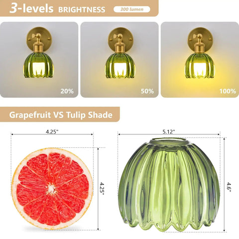 Vintage Wireless Rechargeable Led Wall Sconce Set Of Two Featuring Remote Dimmable Switch And Sleek Gold Finished Green Tulip Glass Shade For Bedroom Living Room Straight Up Gorgeous dimmable brightness levels with grapefruit comparison