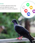 Pigeon wearing a ring from 200Pcs Pigeon Leg Rings Set For Easy ID Of Pigeons Parrots And Small Birds Colorful Clips Durable Lightweight