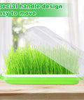 Six Pack Seed Sprouting Trays With Drain Holes BPA Free Plastic Germination Trays for Microgreens Wheatgrass on green tray