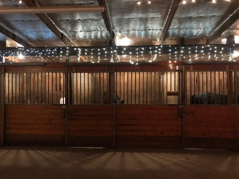 Barn interior with Double Sided Reflective Aluminum Foil Insulation Roll One Quarter Inch Thick R8 installed on ceiling.