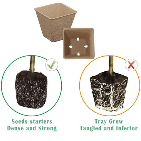 DIY Friendly All In One Seed Starter Kit With Biodegradable Square Peat Pots comparison of root growth: dense strong vs tangled inferior