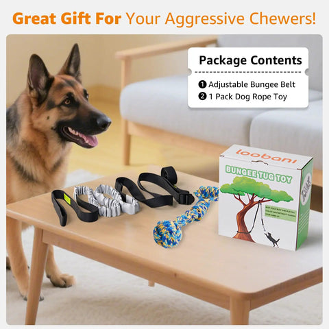 German Shepherd with Outdoor Bungee Tug Toy for Dogs Tree Hanging Rope Tug Interactive Chew Rope on table