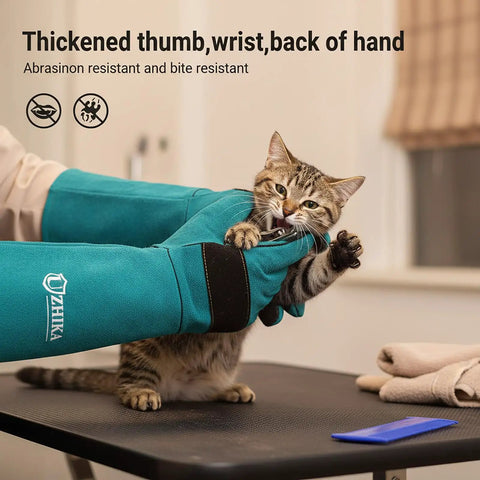 Heavy Duty Animal Handling Gloves For Training Dogs Cats Birds Snakes Parrots Lizards Reptiles Bite Proof Protection With Seventeen Point Seven Inch Leather Gloves Blue Grip Ready Anti Scratch For Safer Handling handling a cat on a table