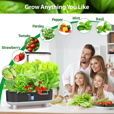 Family using hydroponic system to grow lettuce, tomatoes, parsley, mint, and basil indoors in kitchen setting.