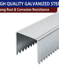 Heavy Duty T50 Staples In 20 Gauge Galvanized Steel With 6000 Pieces Mixed Size Set close-up showing staples stored in a row.