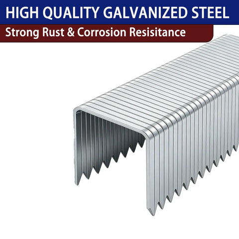 Heavy Duty T50 Staples In 20 Gauge Galvanized Steel With 6000 Pieces Mixed Size Set close-up showing staples stored in a row.