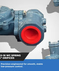 Front close-up view of NMT NGR02-50 natural gas regulator, blue body with red 1/2 in NPT inlet