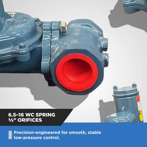 Front close-up view of NMT NGR02-50 natural gas regulator, blue body with red 1/2 in NPT inlet