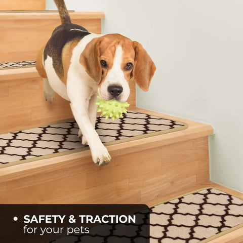 Dog on Set Of Attachable Indoor Carpet Stair Treads Moroccan Trellis Lattice Vanilla Cream And Coffee Brown 8 By 26 Inch