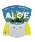 Peaceful Face Planter Grow Kit 3 Pack With Aloe Moss Rose And Chamomile Seeds Growing Medium Included Cute Indoor Desk Planters