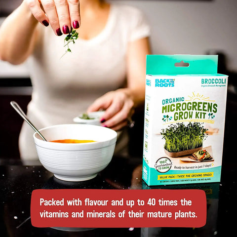 Woman using DIY Microgreen Grow Kit Six Grow Variety Pack For Organic Non GMO Pesticide Free Home Kitchen Garden Easy Setup