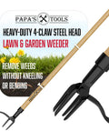 Stand Up Weed Puller Tool With Heavy Duty 4-Claw Steel Head And Solid Bamboo Handle next to packaging label and tool head close-up.