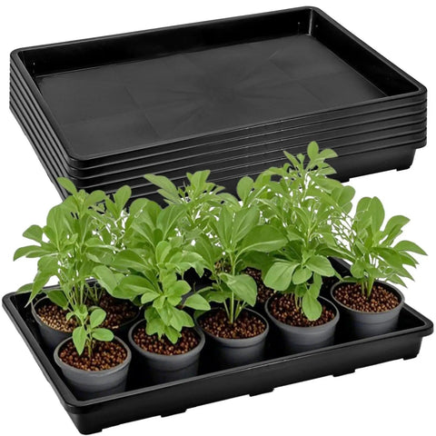 Six Pack Seedling Trays Without Drain Holes For Easy Watering In Indoor Greenhouse Germination Plastic Nursery Potting Trays