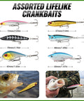 All In One Pro Grade Fishing Lures Kit With Crankbaits, Spinnerbaits, Plastic Worms, Jigs, Topwater Lures, Tackle Box, assorted crankbaits