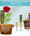 Illustration of 10 Pack Clay Self Watering Nails For Indoor And Outdoor Plants, showing osmosis process in terracotta spikes.