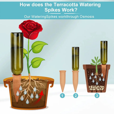 Illustration of 10 Pack Clay Self Watering Nails For Indoor And Outdoor Plants, showing osmosis process in terracotta spikes.