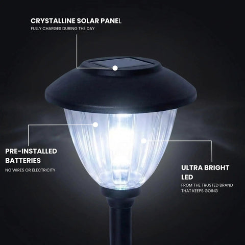 Close-up of one Eight Pack Solar Walkway Light with Patterned Glass and Metal Finish, illuminating with 15 lumen LED.