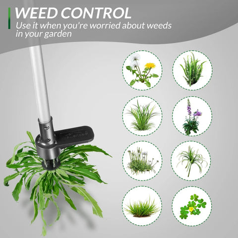 Upgraded Stand Up Weed Puller With 38 Inch Long Handle Five Claw Root Puller For Dandelions Back Friendly Weeding Tool In Use