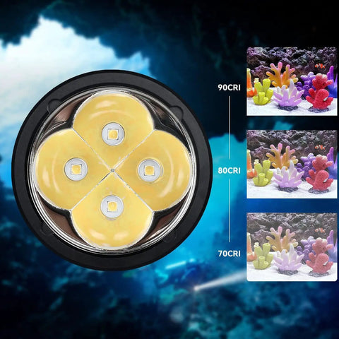 Close-up of Beast 5000 Lumen DL40 Diving Flashlight with LH351D LEDs showcasing 90CRI high color fidelity underwater.