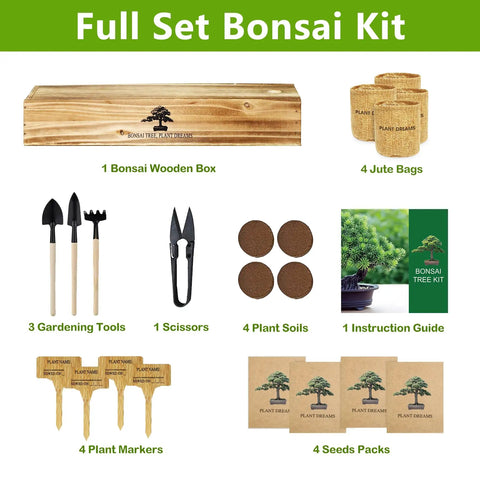 Beginner Friendly Bonsai Starter Kit for Indoor Spaces ✓