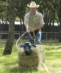 Cowboy practicing roping on Calf Head With Rods Roping Dummy Life Size Black Calf Head For Rodeo Practice With Bale Spikes Included