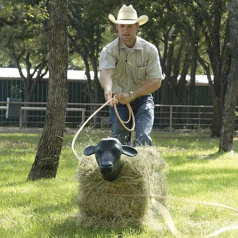 Cowboy practicing roping on Calf Head With Rods Roping Dummy Life Size Black Calf Head For Rodeo Practice With Bale Spikes Included