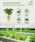 Indoor Hydroponics Grow Kit 180 Pieces With 45 Grow Sponges 45 Grow Baskets 45 Grow Domes 45 Pod Labels And Tweezers info display