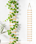 6-Feet Extra Tall Wooden Ladder Plant Trellis For Indoor And Outdoor Use, 15-Section Natural Wood Climbing Support with Ivy Plant