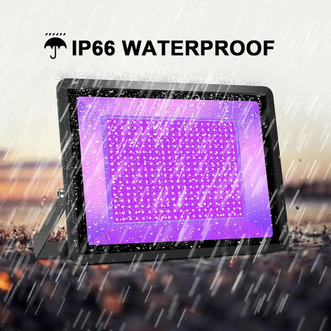 200W LED Black Light Flood Lights Outdoor With 6ft Cord Two Pack For Blacklight Parties Stage Lighting Aquarium Body Paint Neon Glow In The Dark Night Lit Bundle under rain, showcasing waterproof feature.