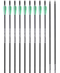 10-pack of 30 Inch Fiberglass Archery Practice Arrows With Replaceable Arrowheads And Nickel Plated Stainless Steel Tips Spine 500 8mm Diameter GPI 13 For Recurve And Compound Bows Target Practice