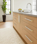 Beefy 6.3 Inch Cabinet Pulls Set Of 10 Gold And Nickel Knurled Brushed Finish for kitchen cabinets on wooden drawers