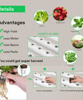 Hydroponic Grow Kit With 36 Plant Sites One Layer PVC U Pipe System Water Pump And Timer Nest Baskets And Sponges advantages