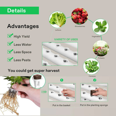 Hydroponic Grow Kit With 36 Plant Sites One Layer PVC U Pipe System Water Pump And Timer Nest Baskets And Sponges advantages