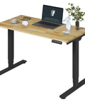 FlexiSpot E6 Solid Wood Electric Standing Desk With 2-Stage Dual Motor Adjustable Height Up To 48 inches By 24 inches Heavy Duty Rubberwood Desktop Computer Workstation For Home Office Sturdy Ergonomic with laptop and accessories