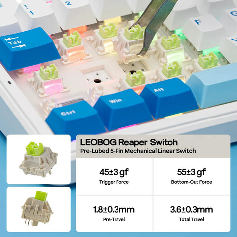 Close-up of Sick Wireless Mechanical Keyboard With 97 Key Layout showing LEOGOG Reaper switch and custom keycaps.